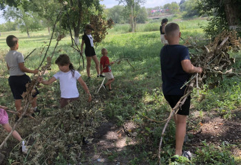  «Чистая территория»